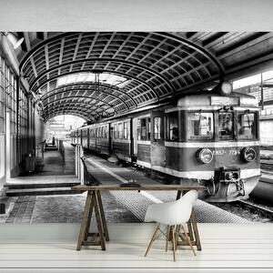 Fototapeta - Vlak na stanici (152,5x104 cm)