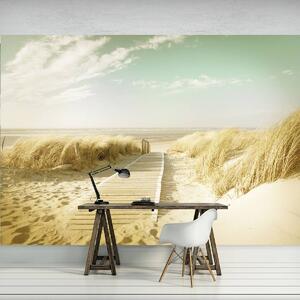 Fototapeta - Pláž (152,5x104 cm)