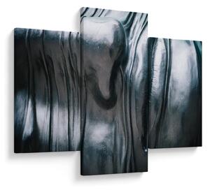 Obraz - Tvár z ocele (90x60 cm)