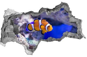Diera 3D fototapeta Klaun koralový útes nd-b-120479478