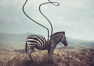 Fototapeta - Zebra (254x184 cm)