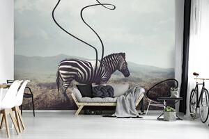 Fototapeta - Zebra (152,5x104 cm)
