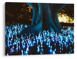 Obraz - Magický strom (70x50 cm)