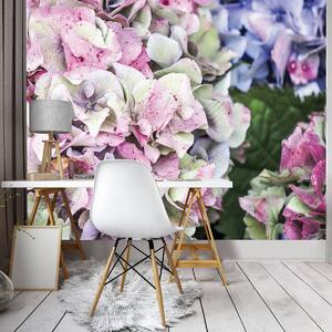 Fototapeta - Pastelové kvety (254x184 cm)