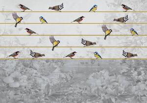 Fototapeta - Vtáky na zlatom povrázku (152,5x104 cm)
