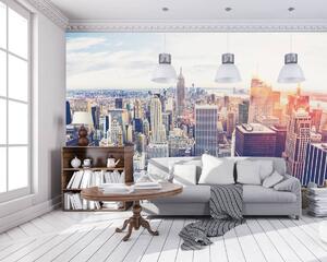Fototapeta - Pohľad na New York City (152,5x104 cm)