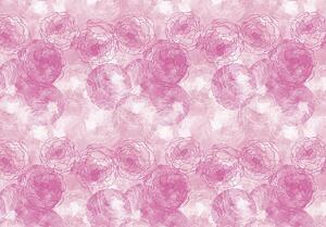 Fototapeta - Ružové kvety (254x184 cm)