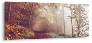 Obraz - Jesenná prechádzka lesom (120x50 cm)