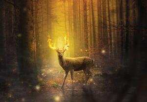 Fototapeta - Jeleň v žiari zapadajúceho slnka (254x184 cm)