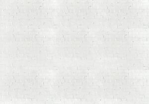 Fototapeta - Biele tehly (152,5x104 cm)
