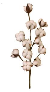 VETVIČKA IPHEIONU 60 cm XXXL - Kvety & kvetináče