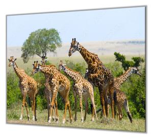 Ochranná doska žirafa I. - 65x90cm / NE