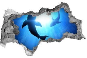 Diera 3D fototapeta nálepka Dva žraloky nd-b-69178156