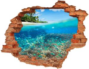 Diera 3D foto tapeta nálepka Koralový útes nd-c-78236057