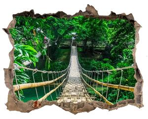 Fototapeta díra na zeď 3D Najväčší dažďový prales