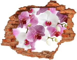 Fotoobraz diera na stenu nálepka Nástenné maľby orchidea