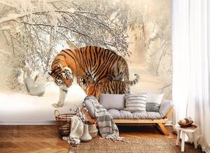 Fototapeta - Tigre na snehu (152,5x104 cm)