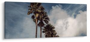 Obraz - Palmová dráma (120x50 cm)