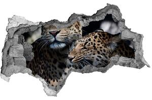 Diera 3D fototapeta na stenu Dva leopardy nd-b-109930645