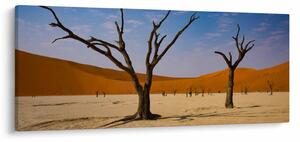 Obraz - Údolie smrti (120x50 cm)