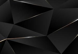 Fototapeta - Čierne geometrické delenie (152,5x104 cm)