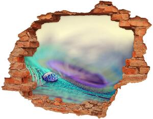 Foto fotografie diera na stenu Pretiahnutia piórku