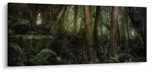 Obraz - Tajomný les (120x50 cm)