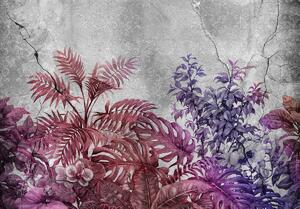 Fototapeta - Rastliny na betóne - fialová (152,5x104 cm)