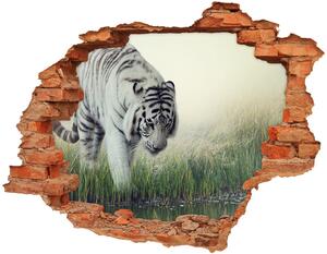 Diera 3D v stene nálepka Biely tiger nd-c-84071201
