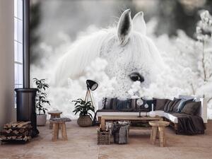 Fototapeta - Biely kôň na snehu (254x184 cm)