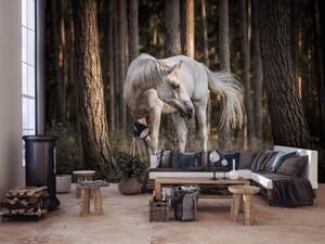 Fototapeta - Biely kôň v lese (152,5x104 cm)