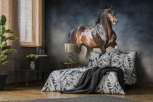 Fototapeta - Hnedý kôň (152,5x104 cm)