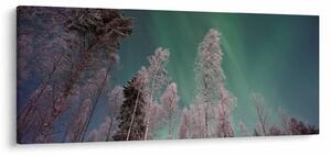 Obraz polárna žiara nad zamrznutými stromami (120x50 cm)