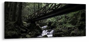 Obraz z čierneho lesa (120x50 cm)