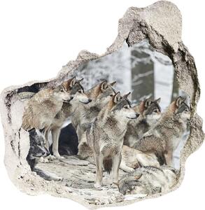 Fototapeta diera na stenu 3D Nálepka vlci v zime