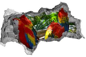 Diera 3D fototapeta nálepka Papagáje ara nd-b-101702658