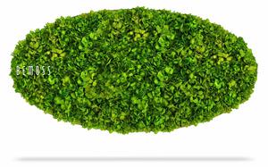 Machový obraz Elipsa BEMOSS® MIMI - 50 x 100 cm
