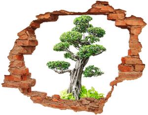 Fotoobraz diera na stenu Bonsai strom nd-c-88907159