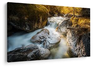 Obraz - Lesný potok (90x60 cm)