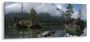 Obraz stromov v jazere (120x50 cm)