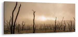 Obraz - Holé stromy (120x50 cm)
