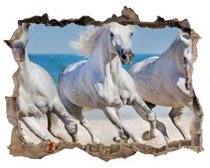 Nálepka fototapeta 3D White horse beach nd-k-95257914