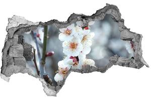 Samolepiaca nálepka fototapeta Čerešňové kvety