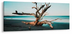 Obraz - Vyplavenie na pláži (120x50 cm)