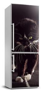 Foto nálepka na chladničku stenu Čierna mačka
