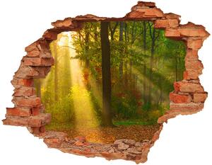Fotoobraz diera na stenu Forest na slnku nd-c-75879040