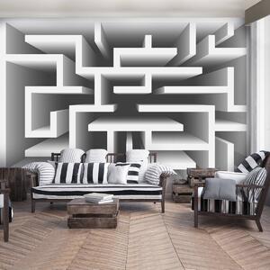 Fototapeta - 3D labyrint (152,5x104 cm)