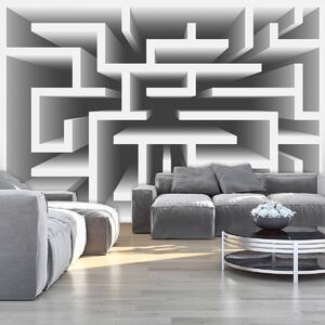 Fototapeta - 3D labyrint (152,5x104 cm)