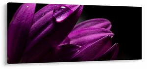 Obraz - Kvapka vody (120x50 cm)