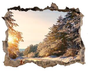 Nálepka fototapeta 3D Cesty v lese v zime nd-k-77332313